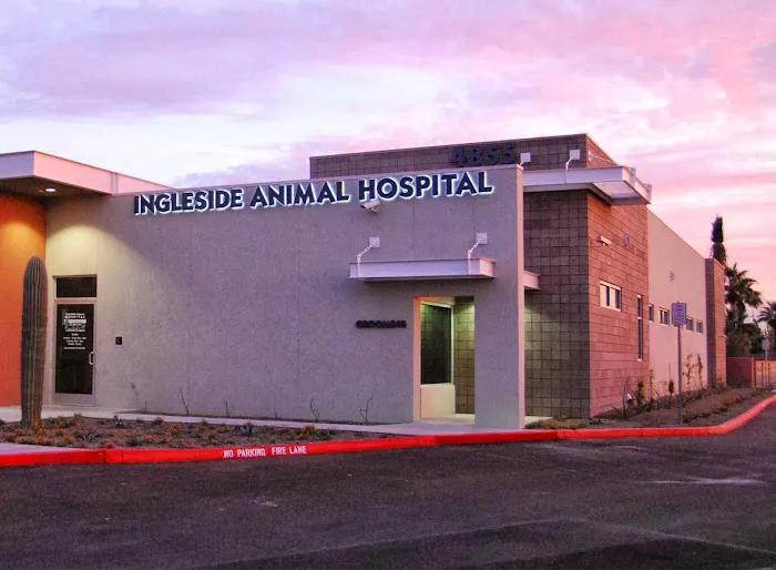Ingleside Animal Hospital Picture 8
