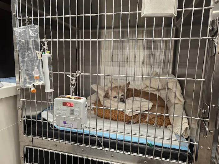 Veterinary Emergency Group Picture 2