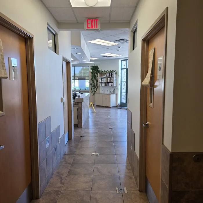 Lovet Pet Health Care - Madison Picture 8