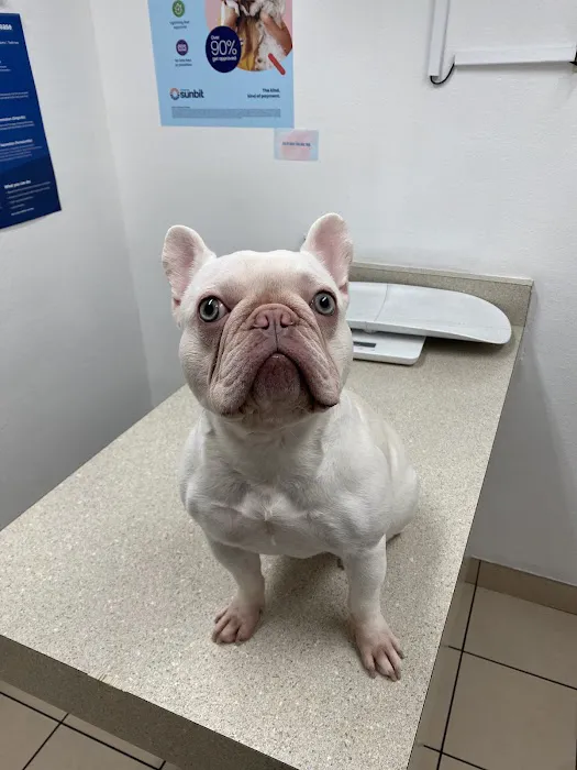 West Phoenix Veterinary Hospital Picture 7