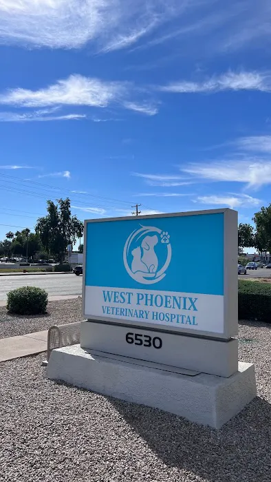 West Phoenix Veterinary Hospital Picture 8