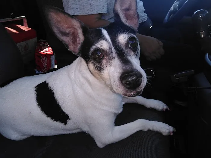 Sun Valley Hope Animal Hospital Picture 9