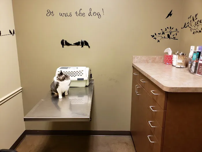Animal Hospital of Laveen Picture 9