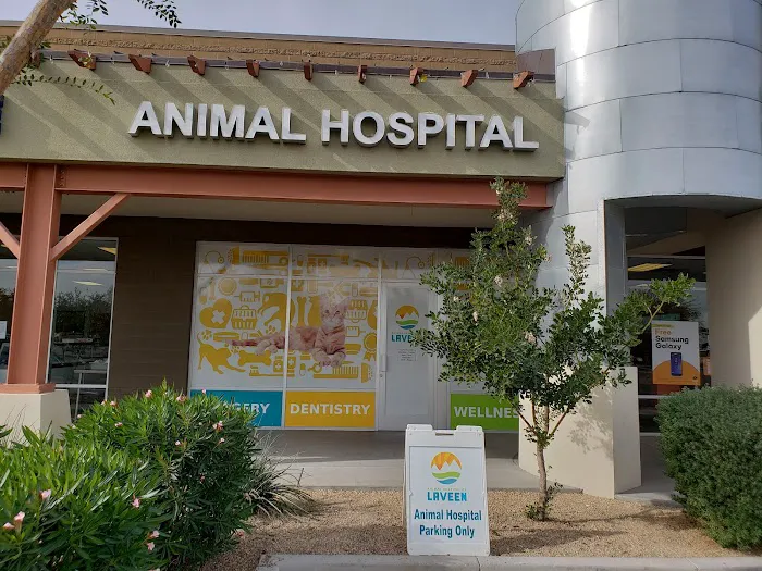 Animal Hospital of Laveen Picture 6