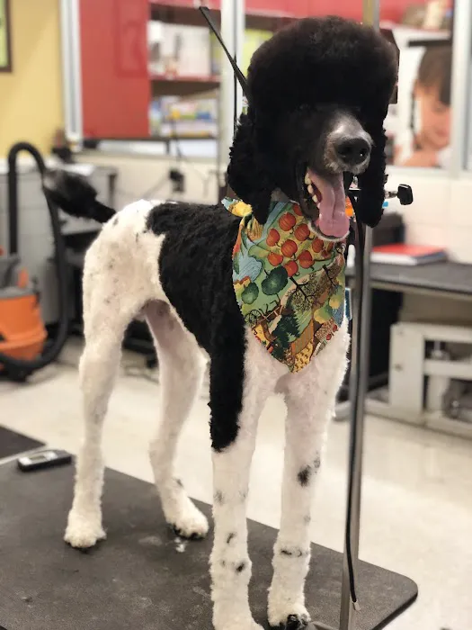 Petco Picture 8