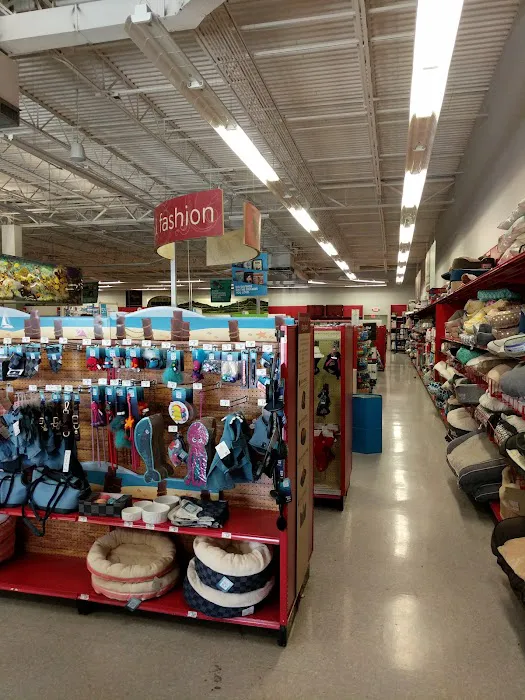 Petco Picture 4