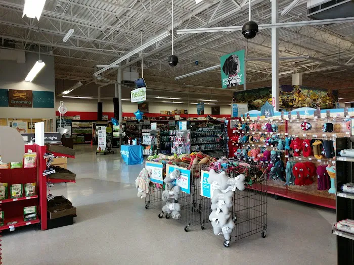 Petco Picture 3