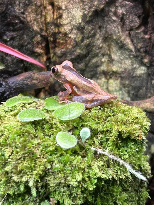 Moonshine Reptiles Arizona LLC Picture 4