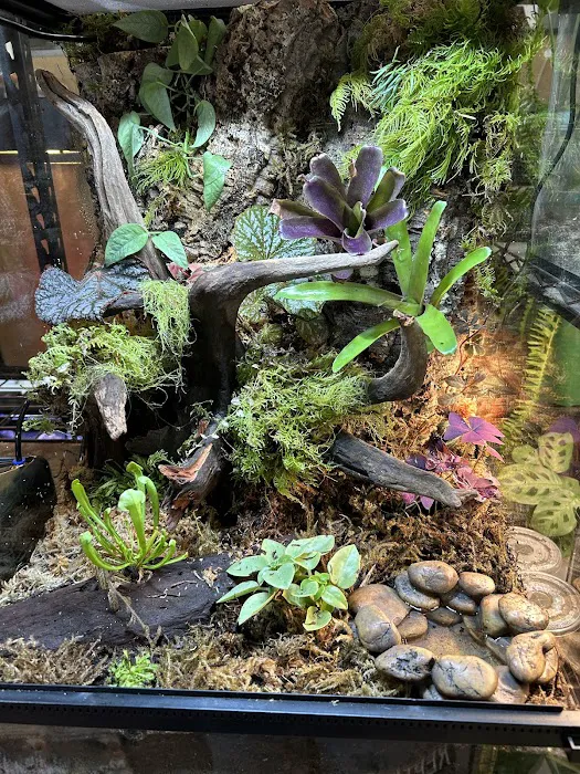 Moonshine Reptiles Arizona LLC Picture 5