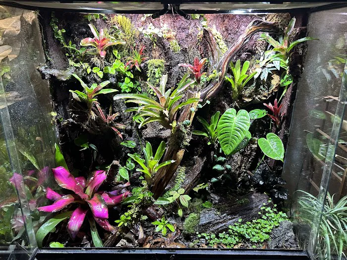 Moonshine Reptiles Arizona LLC Picture 2