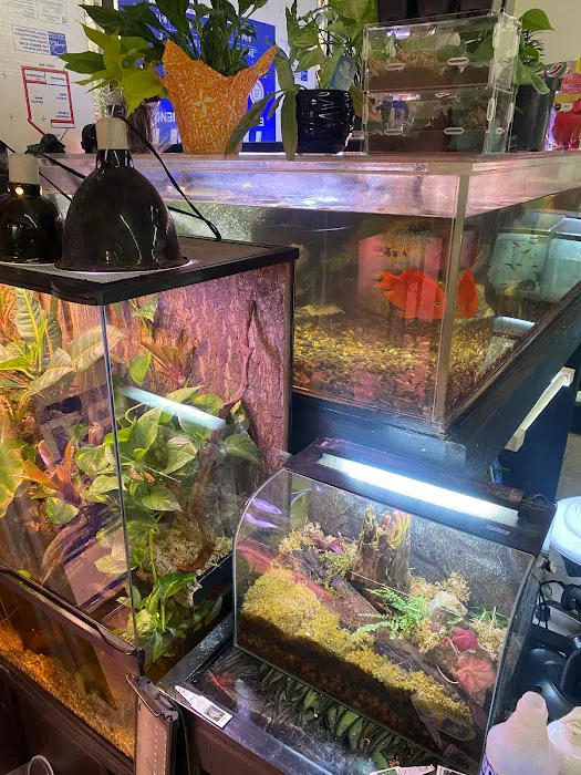 Moonshine Reptiles Arizona LLC Picture 10