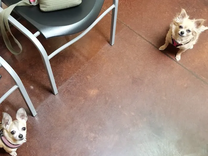 Westridge Animal Hospital Picture 4
