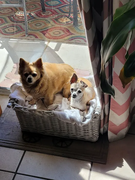Westridge Animal Hospital Picture 5