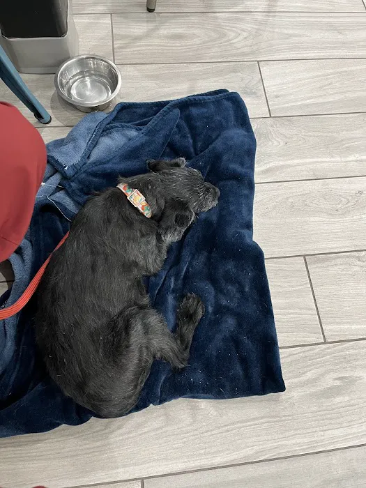 Laveen Veterinary Center Picture 6