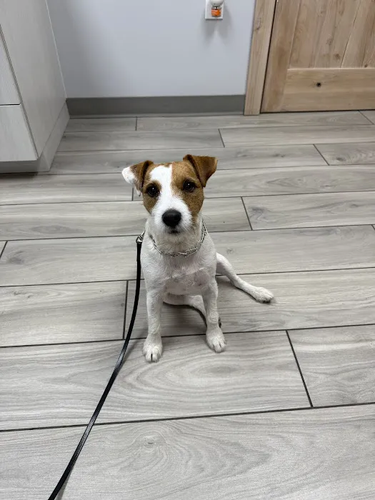 Laveen Veterinary Center Picture 2
