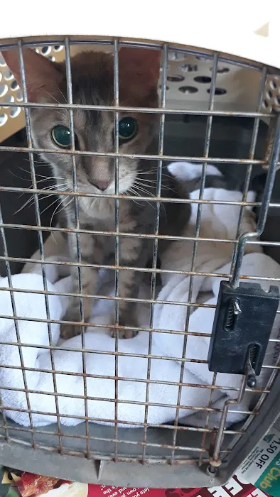 Palm Glen Animal Hospital Picture 1