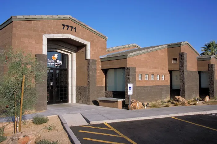 Palm Glen Animal Hospital Picture 2