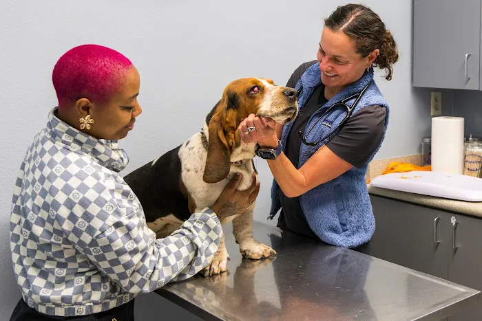 Northern Regional Veterinary Hospital Picture 8