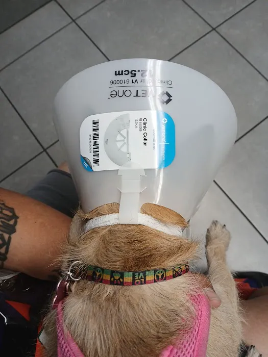 Northern Regional Veterinary Hospital Picture 10