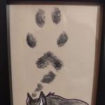 Northern Regional Veterinary Hospital