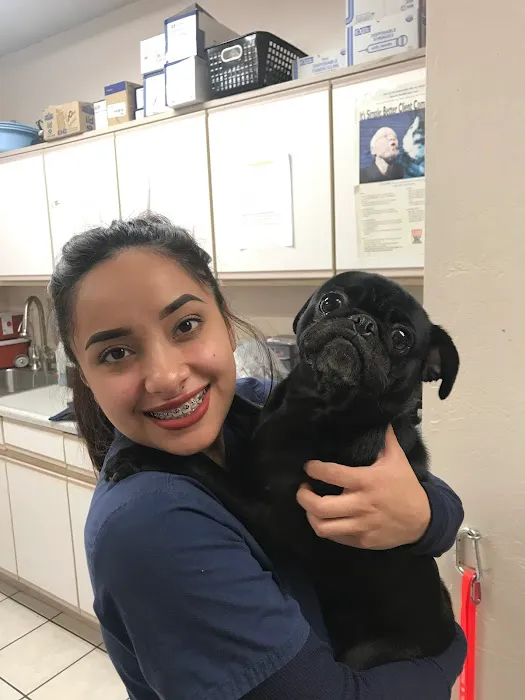 Orangewood Animal Hospital - Now Palo Verde Animal Hospital Picture 8