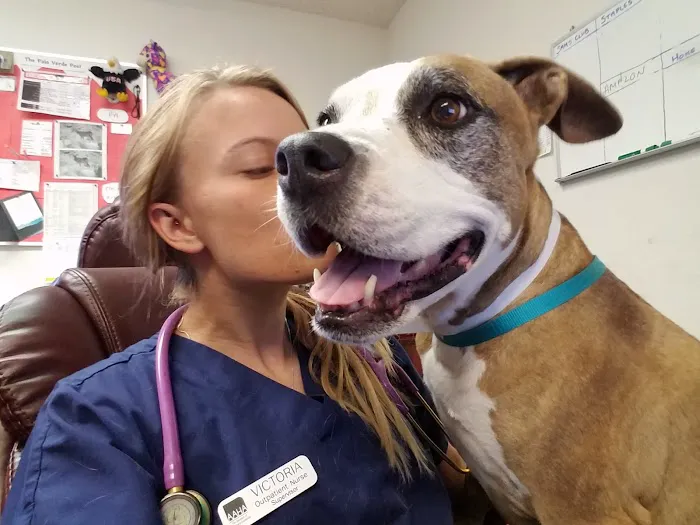 Palo Verde Animal Hospital Picture 9