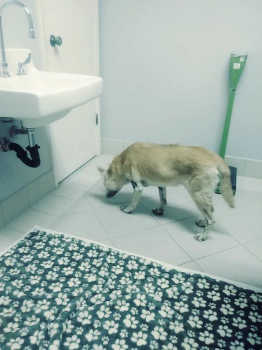 Palo Verde Animal Hospital Picture 3