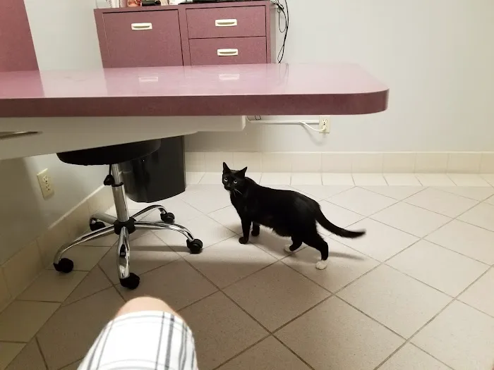 Palo Verde Animal Hospital Picture 2