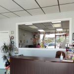 Le Doggie Pet Grooming