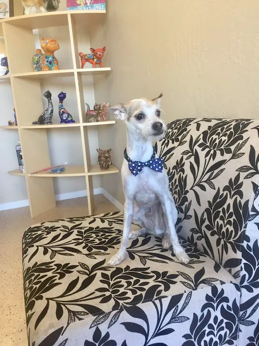 Le Doggie Pet Grooming Picture 7