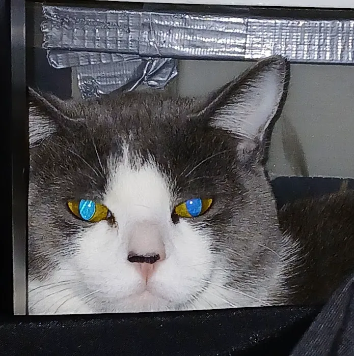 Arizona Humane Society Veterinary Clinic at Sunnyslope Campus Picture 8