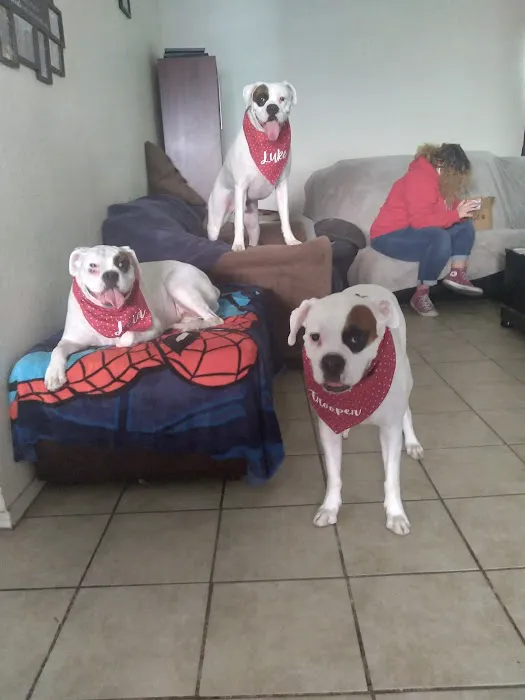 Valley West Animal Hospital Picture 4