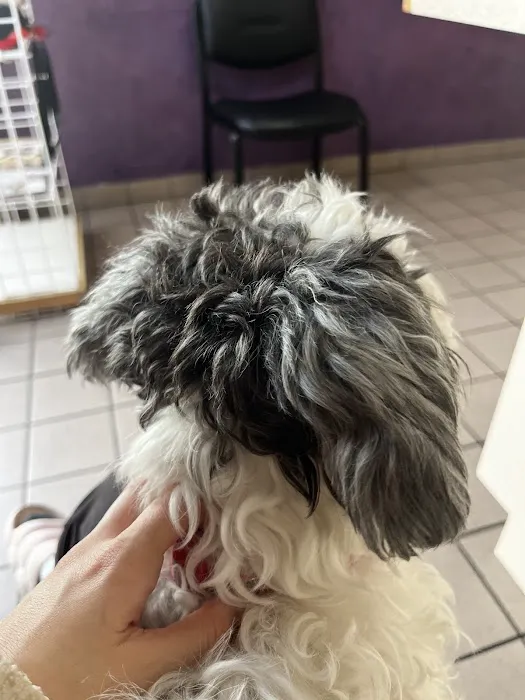 Valley West Animal Hospital Picture 3