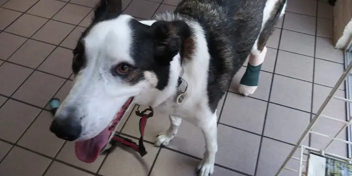 Valley West Animal Hospital Picture 2