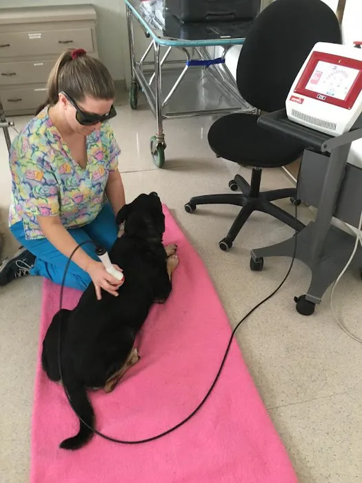 Valley West Animal Hospital Picture 1