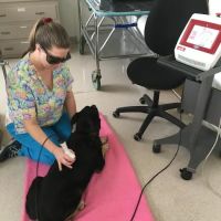 Valley West Animal Hospital ico