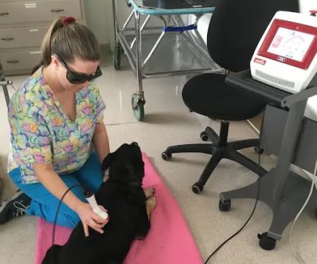 Valley West Animal Hospital