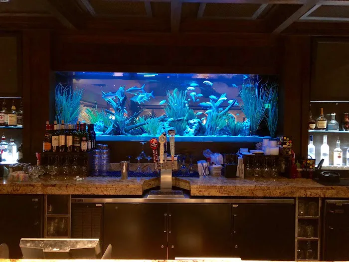 Limited Edition Corals Aquariums Picture 9