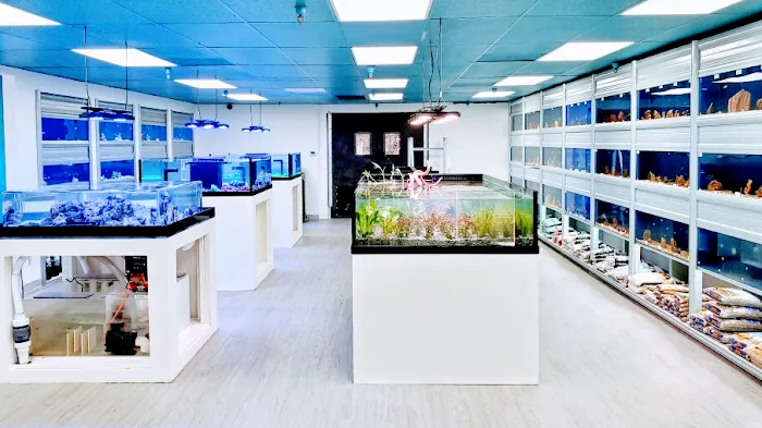 Limited Edition Corals Aquariums Picture 4