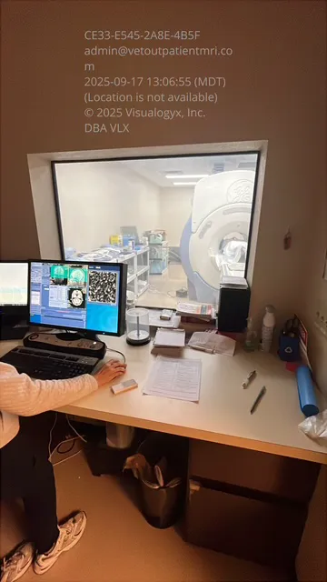 Veterinary Outpatient MRI Picture 4