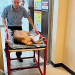 Veterinary Outpatient MRI