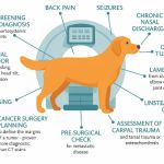 Veterinary Outpatient MRI