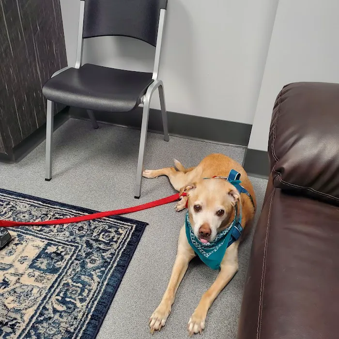Soderstrom Veterinary Picture 9