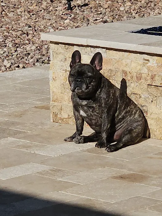 Soderstrom Veterinary Picture 4