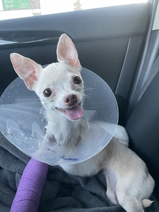 Soderstrom Veterinary Picture 10