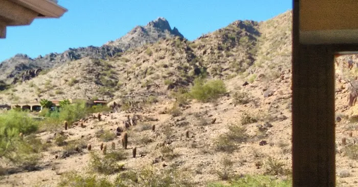 Squaw Peak Animal Hospital Picture 3