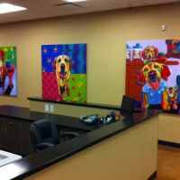Squaw Peak Animal Hospital ico