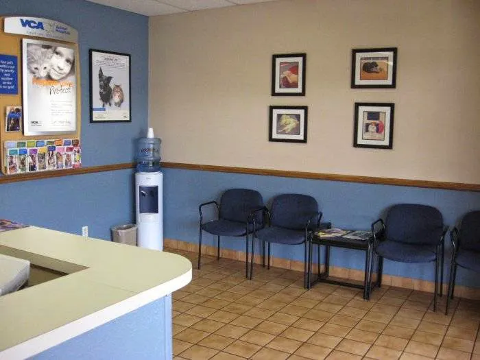 VCA Mountain View Animal Hospital Picture 4