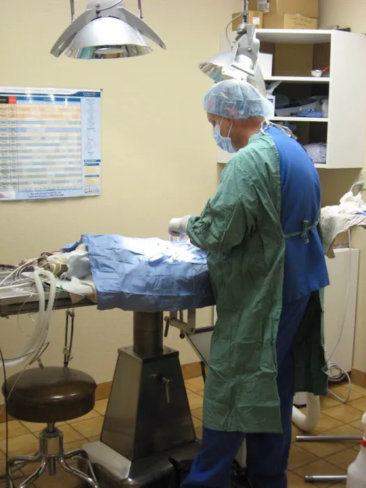 VCA Mountain View Animal Hospital Picture 8