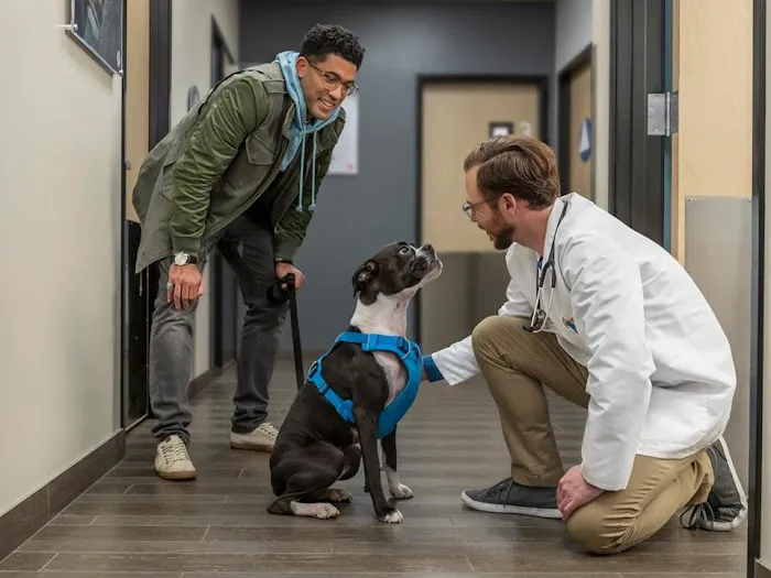 Banfield Pet Hospital Picture 7